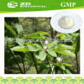 100% pure GMP factory supply Magnolia bark extract Magnolol Powder , Honokiol Powder